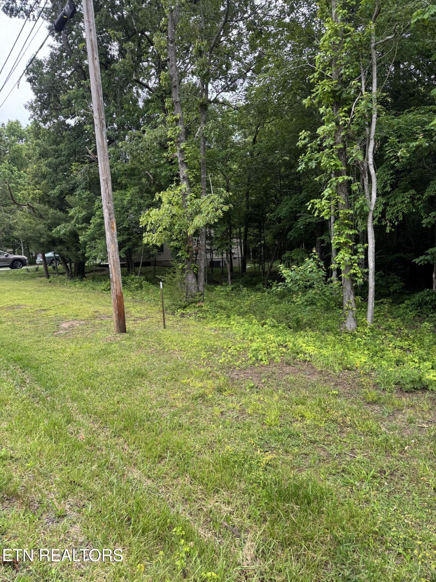 121 Windsor Road Crossville, TN 38558 - Photo 3 of 4 121 Windsor
