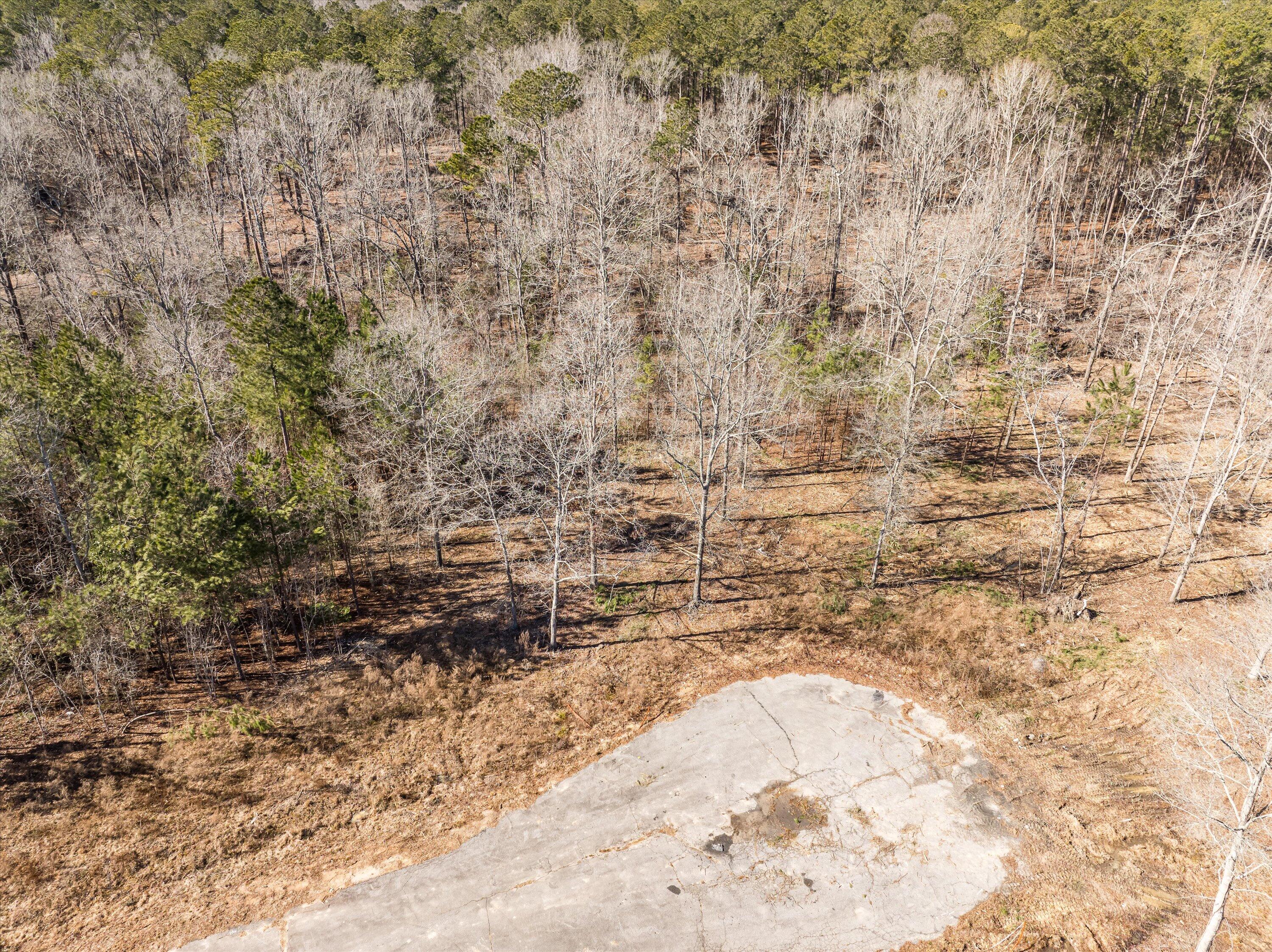 141 Gin Branch Road Thomson, GA 30824 - Photo 3 of 4 31-DJI_0686-HDR
