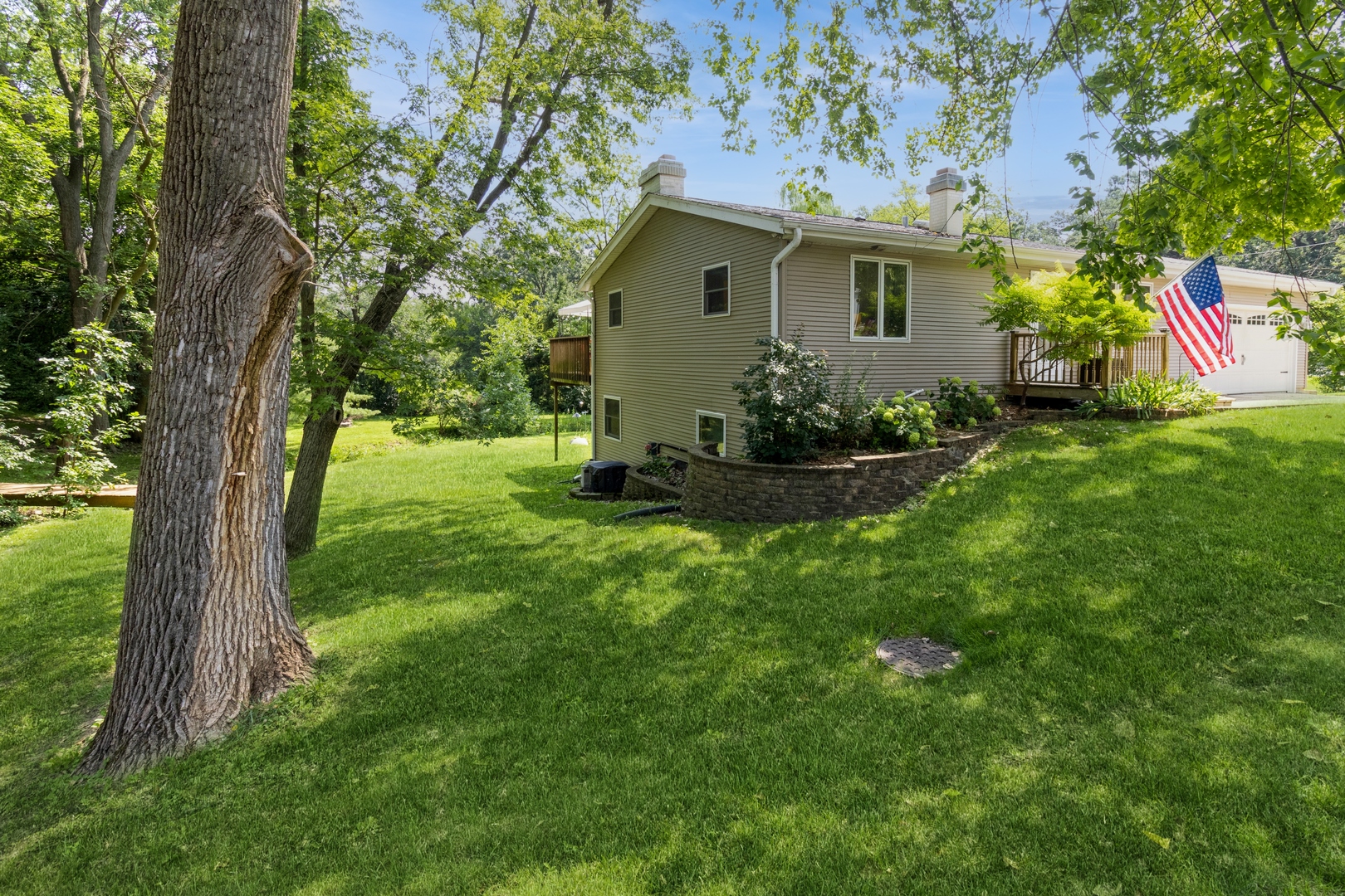 295 South Walnut Street South Elgin, IL 60177 - Photo 2 of 34