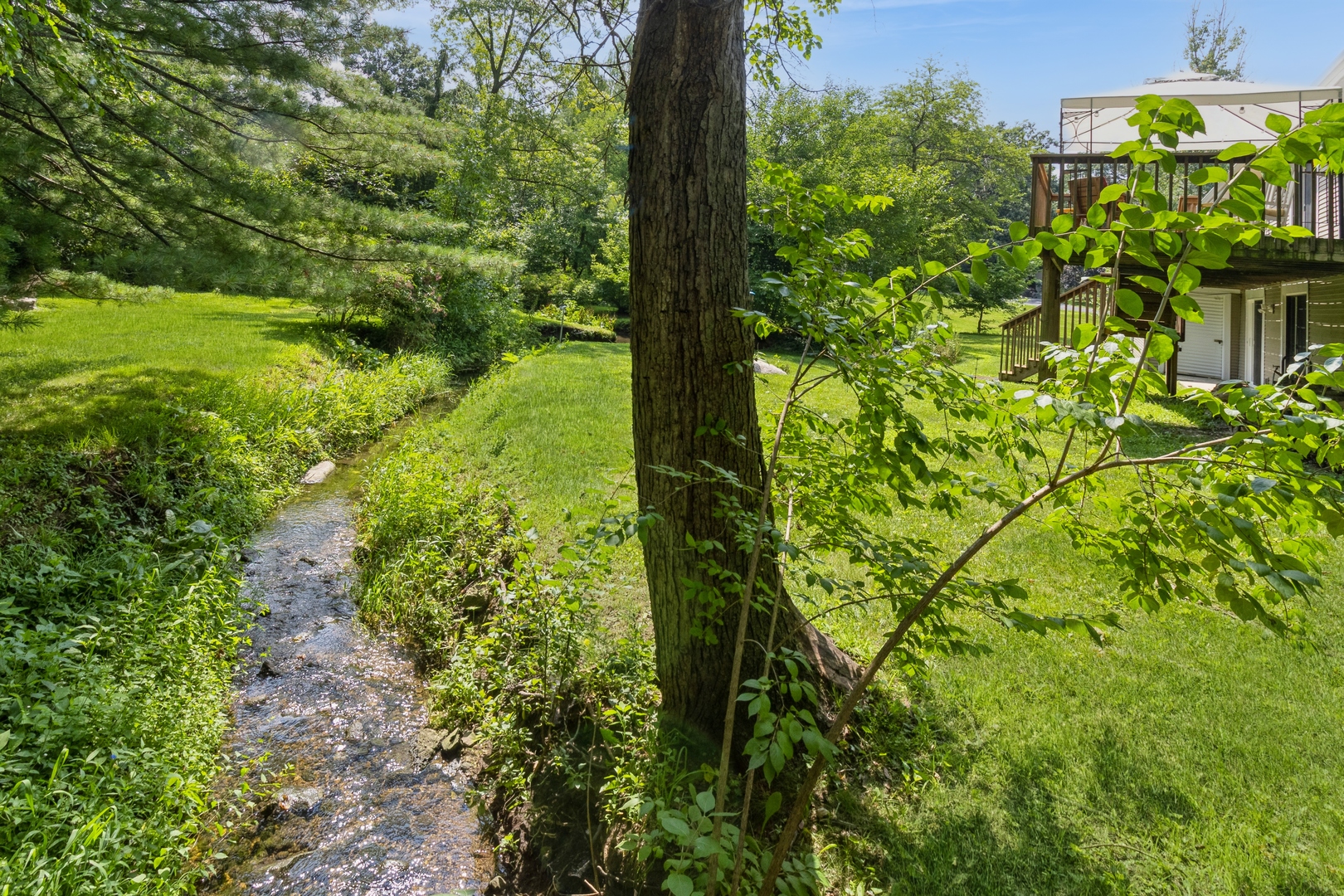 295 South Walnut Street South Elgin, IL 60177 - Photo 28 of 34