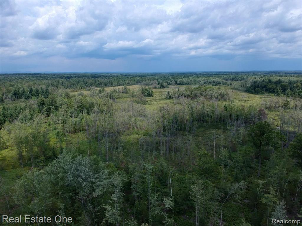 0 South Morrison Road West Branch, MI 48661 - Photo 32 of 38