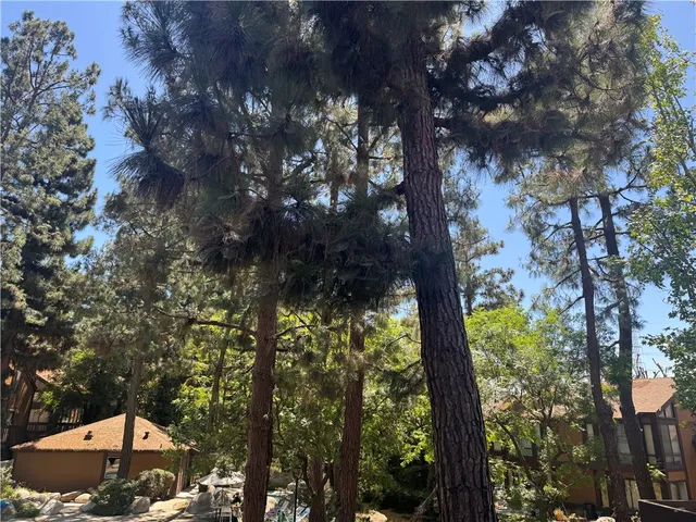 a view of outdoor space and garden