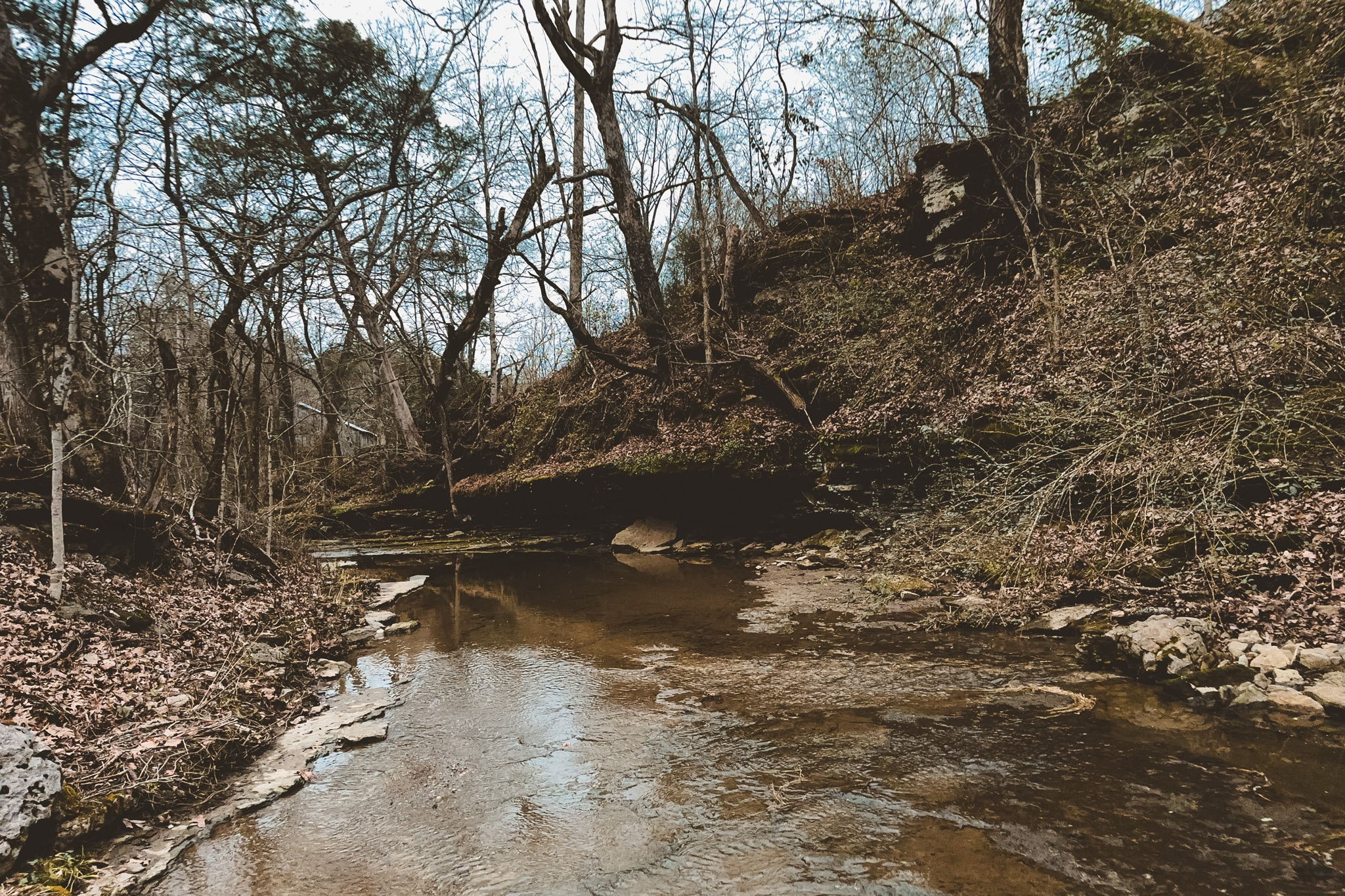 6680 Walker Creek Road Alexandria, TN 37012 - Photo 16 of 75