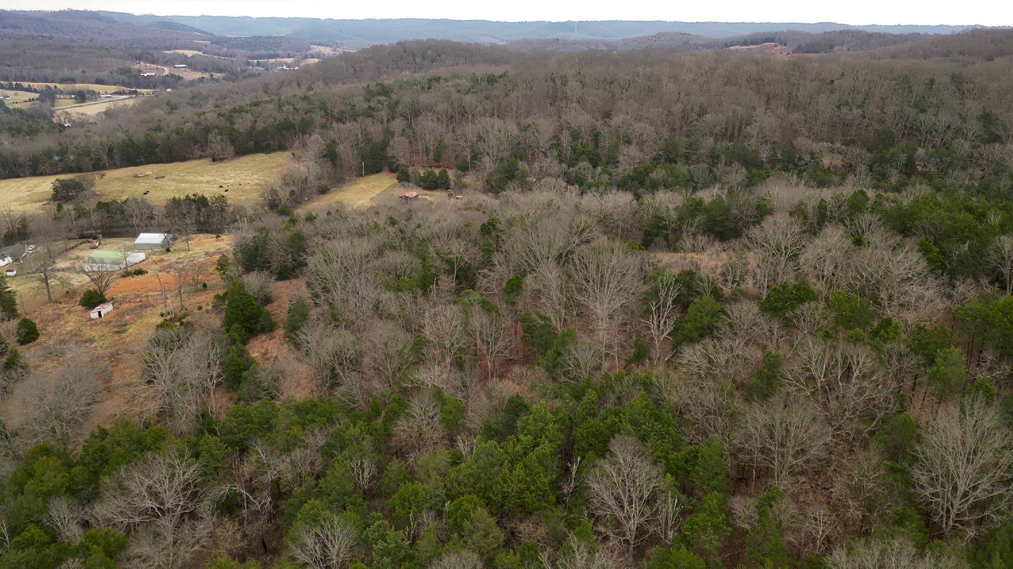 6680 Walker Creek Road Alexandria, TN 37012 - Photo 50 of 75 a view of a forest with trees in the background