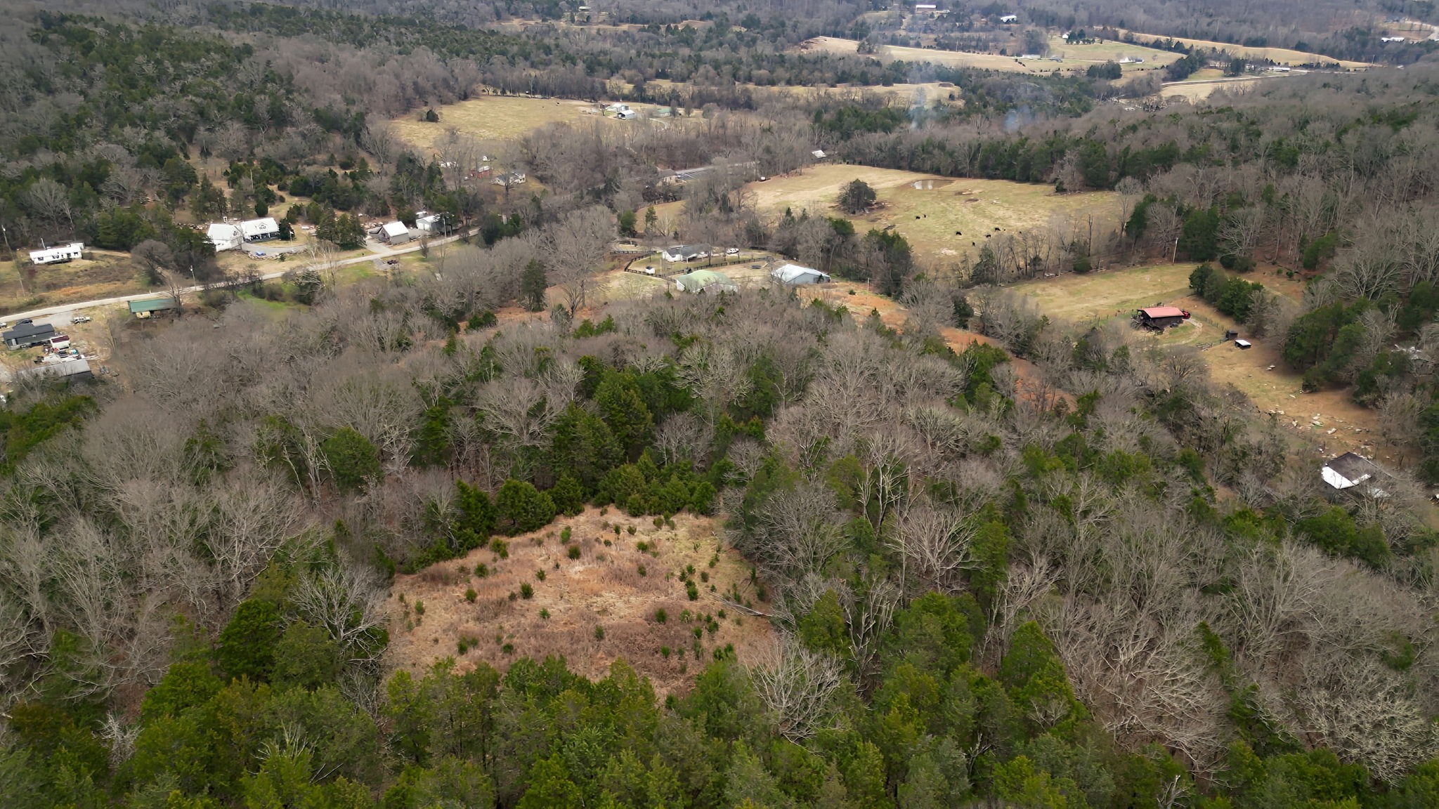 6680 Walker Creek Road Alexandria, TN 37012 - Photo 75 of 76