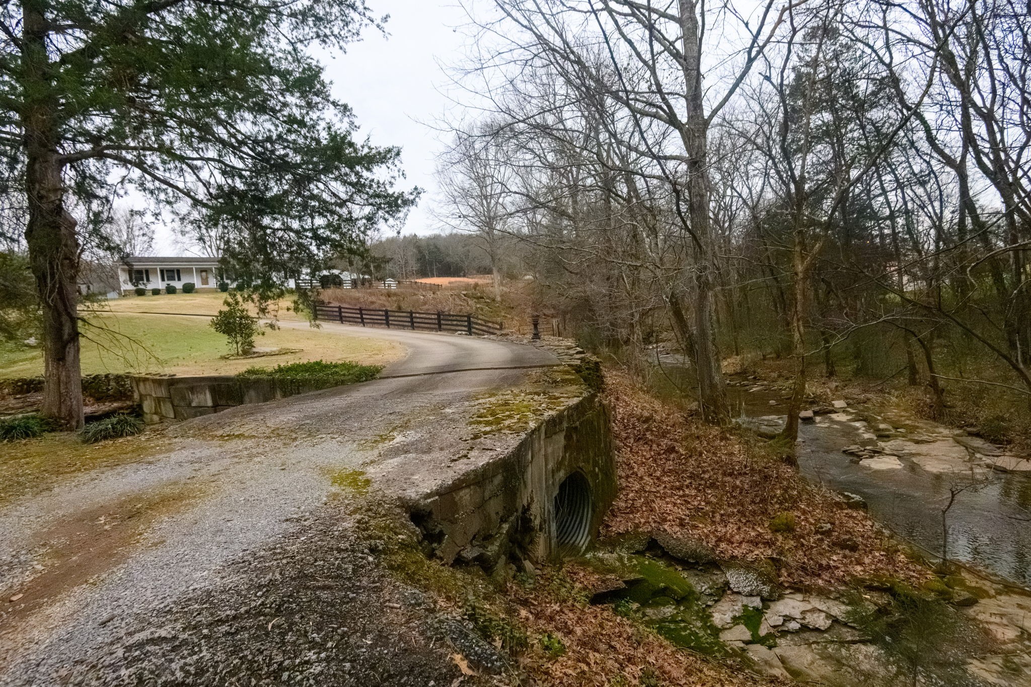 6680 Walker Creek Road Alexandria, TN 37012 - Photo 8 of 76