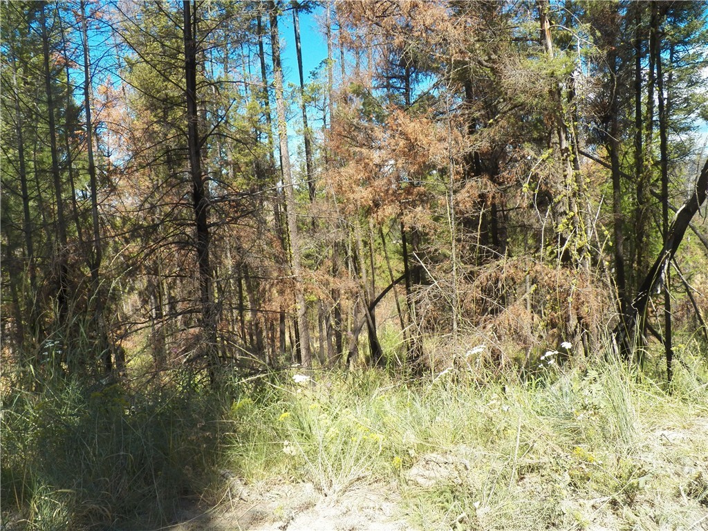 59 Red Feather Road Riverside, WA 98849 - Photo 2 of 23 Gallery Image 2