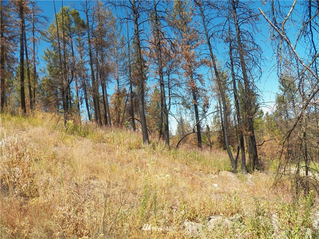 59 Red Feather Road Riverside, WA 98849 - Photo 12 of 23 Gallery Image 12