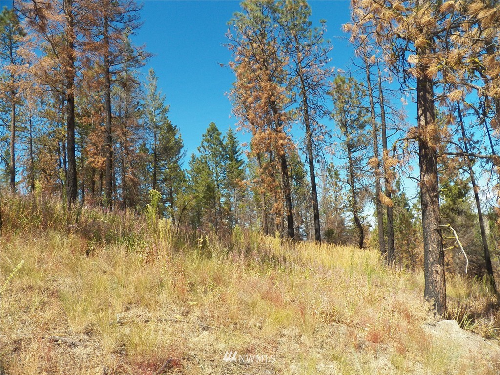 59 Red Feather Road Riverside, WA 98849 - Photo 14 of 23 Gallery Image 14