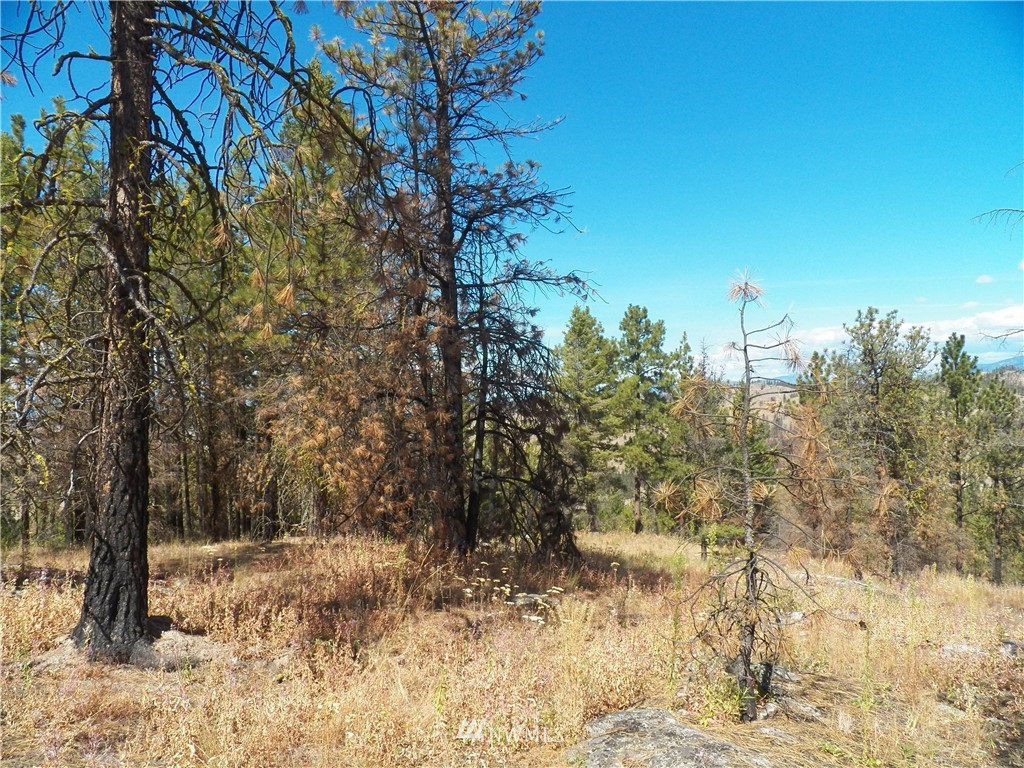 59 Red Feather Road Riverside, WA 98849 - Photo 20 of 23 Gallery Image 20