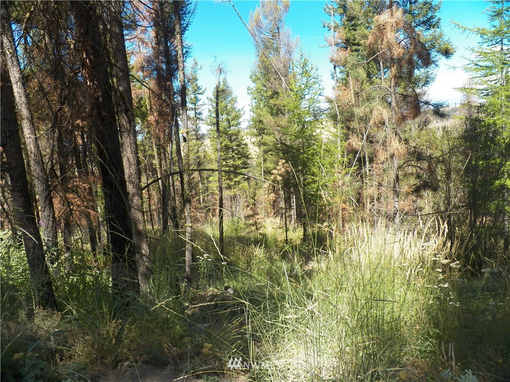 59 Red Feather Road Riverside, WA 98849 - Photo 6 of 23 Gallery Image 6