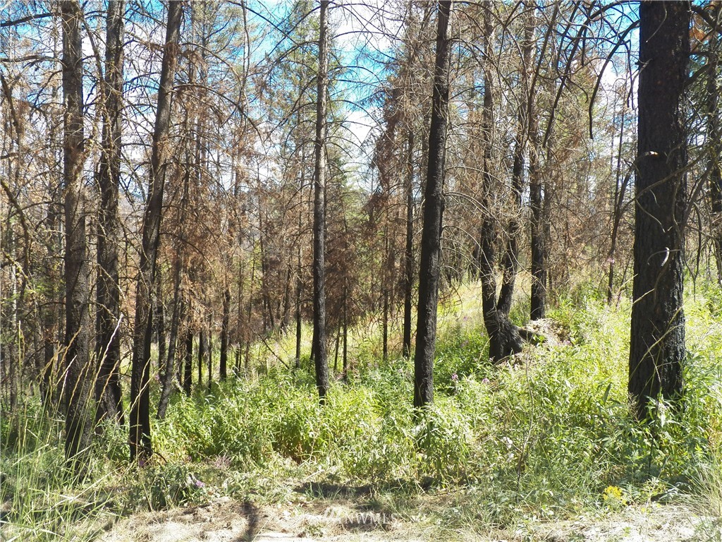 59 Red Feather Road Riverside, WA 98849 - Photo 7 of 23 Gallery Image 7