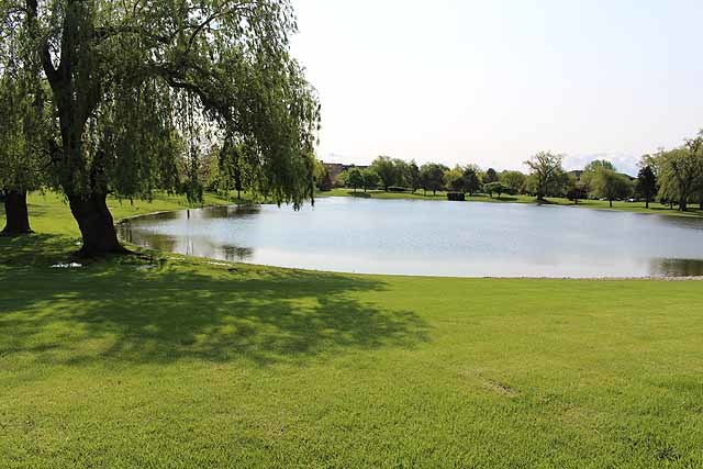 779 Pahl Road, Unit 779 Elk Grove Village, IL 60007 - Photo 17 of 17 a view of lake view