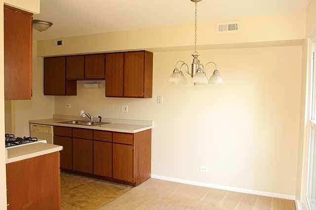 779 Pahl Road, Unit 779 Elk Grove Village, IL 60007 - Photo 5 of 17 a kitchen with a sink and cabinets