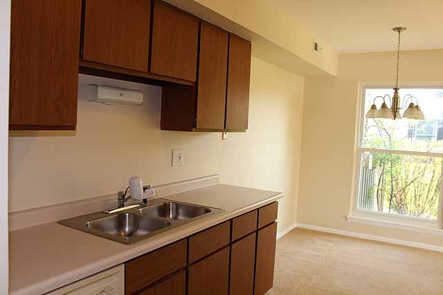 779 Pahl Road, Unit 779 Elk Grove Village, IL 60007 - Photo 7 of 17 a kitchen with a sink cabinets and window