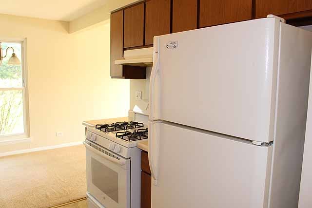 779 Pahl Road, Unit 779 Elk Grove Village, IL 60007 - Photo 8 of 17 a kitchen with a refrigerator a stove top oven