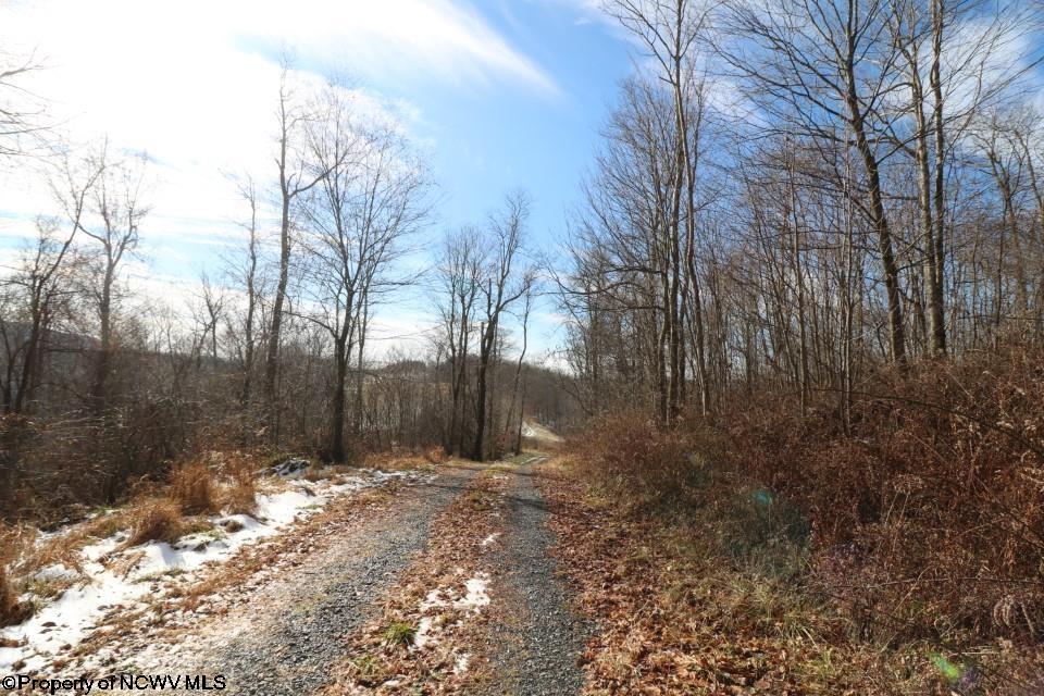 Tbd Saltlick Road Terra Alta, WV 26764 - Photo 9 of 10 Gallery Image 9