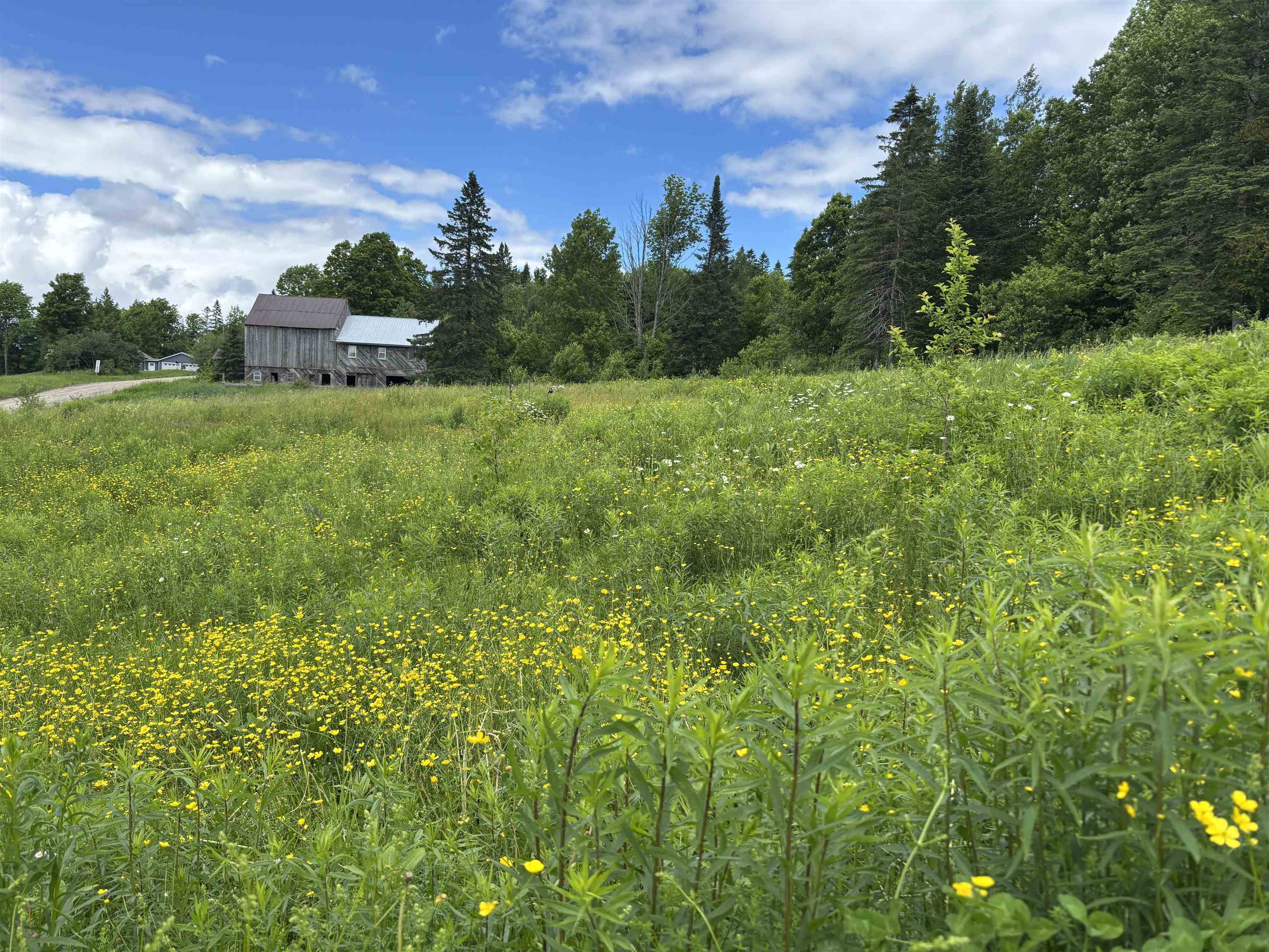 2354 East Ridge Road Sutton, VT 05871 - Photo 41 of 46