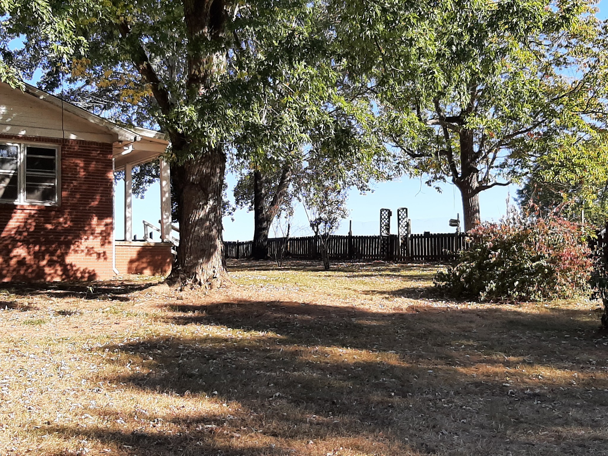 848 Cedar Grove Road Lebanon, TN 37087 - Photo 38 of 55 a view of a yard with large trees
