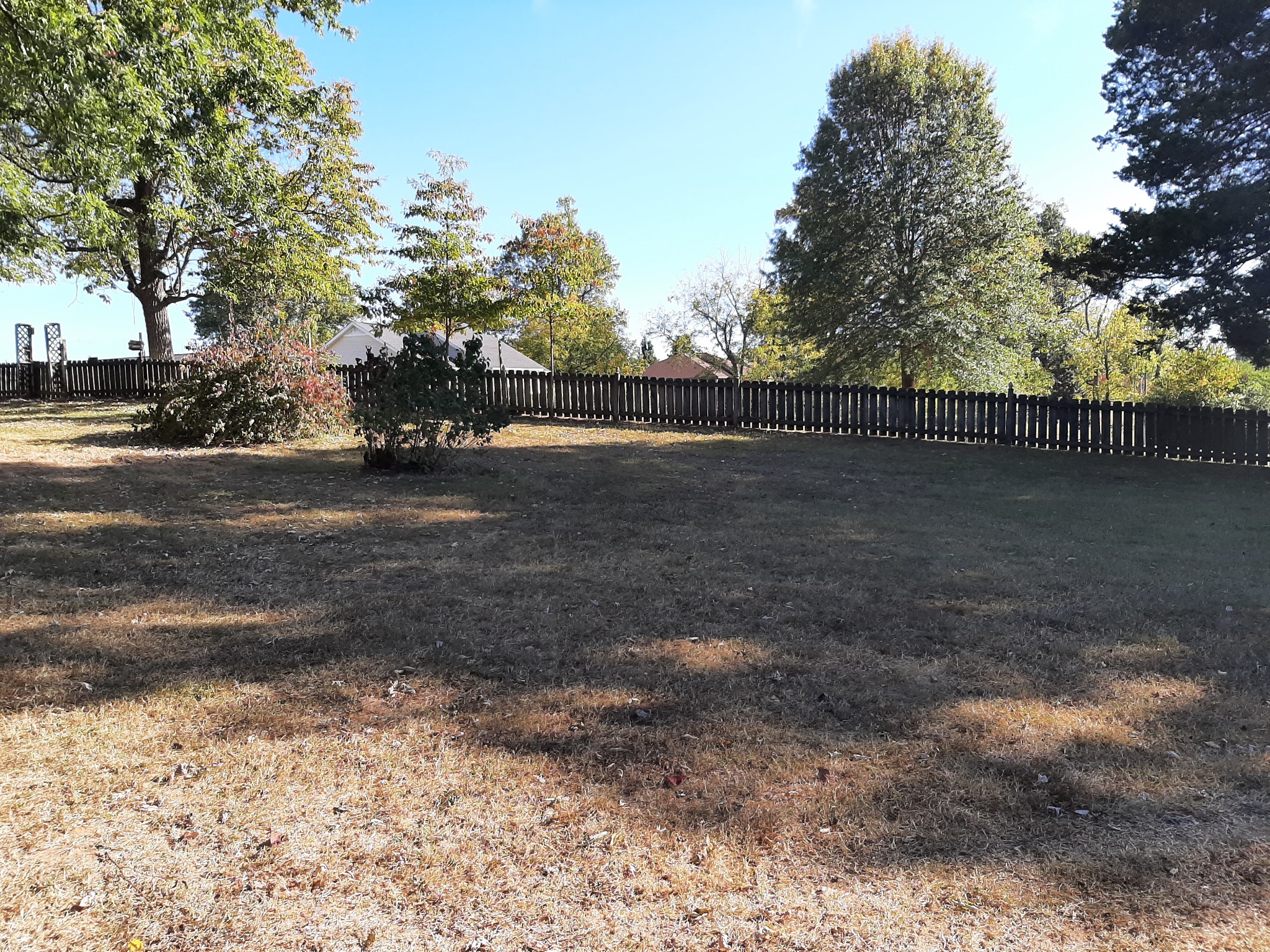 848 Cedar Grove Road Lebanon, TN 37087 - Photo 39 of 55 a view of a yard