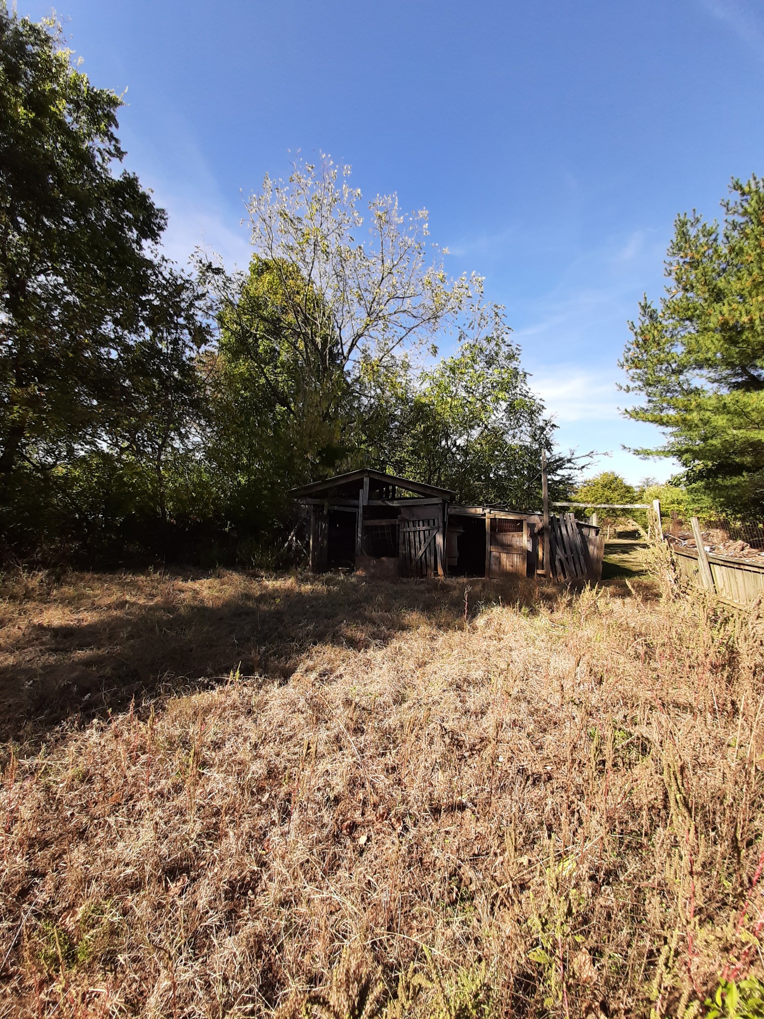 848 Cedar Grove Road Lebanon, TN 37087 - Photo 47 of 55 a backyard of a house with lots of green space