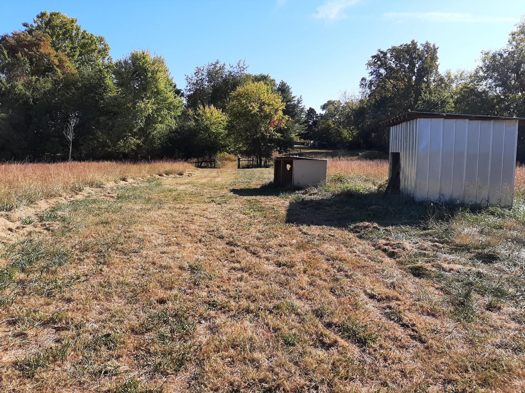 848 Cedar Grove Road Lebanon, TN 37087 - Photo 51 of 55 a backyard of a house