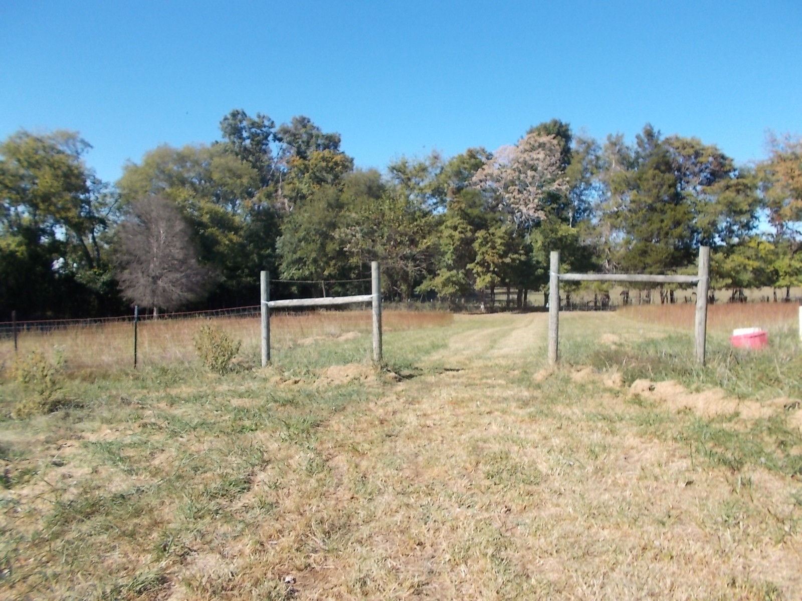 848 Cedar Grove Road Lebanon, TN 37087 - Photo 54 of 55 a backyard of a house