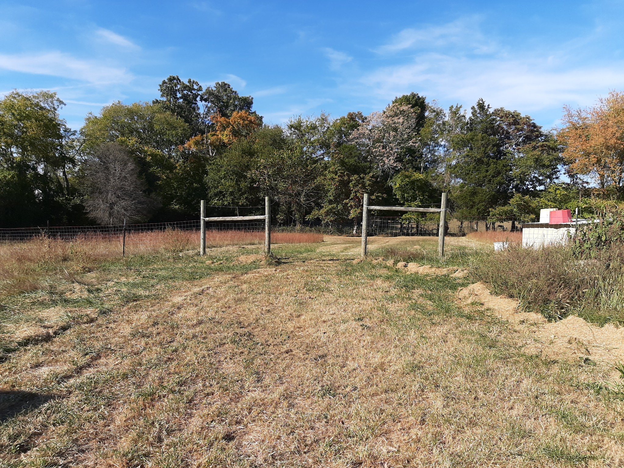 848 Cedar Grove Road Lebanon, TN 37087 - Photo 55 of 55 a backyard of a house with lots of green space