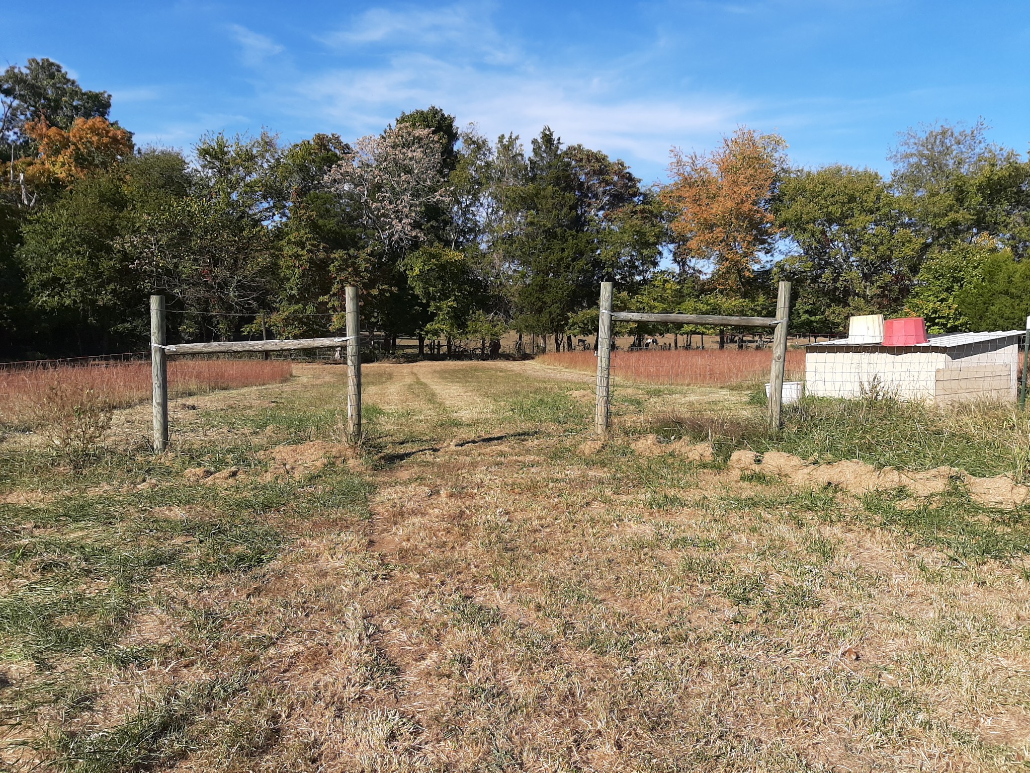 848 Cedar Grove Road Lebanon, TN 37087 - Photo 8 of 55 a view of a backyard