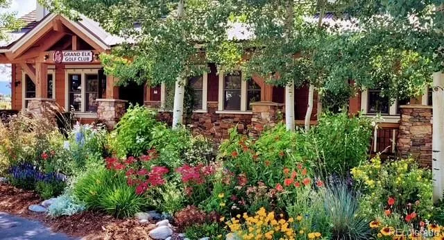 a view of a bunch of flowers in background