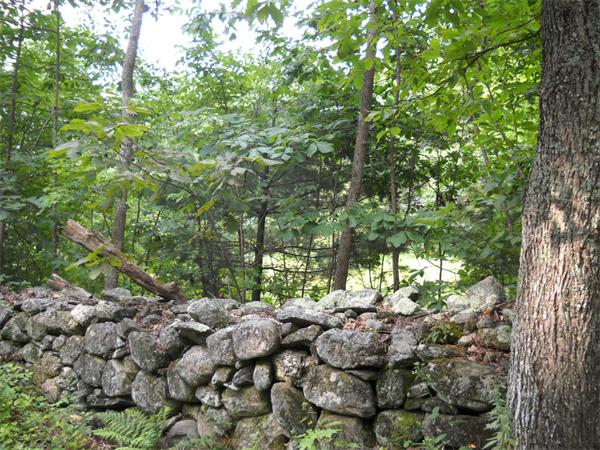 206 Nichewaug Road Petersham, MA 01366 - Photo 7 of 15 a view of outdoor space and yard