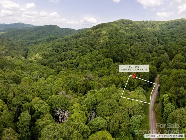 an aerial view of a house with pool yard and outdoor seating