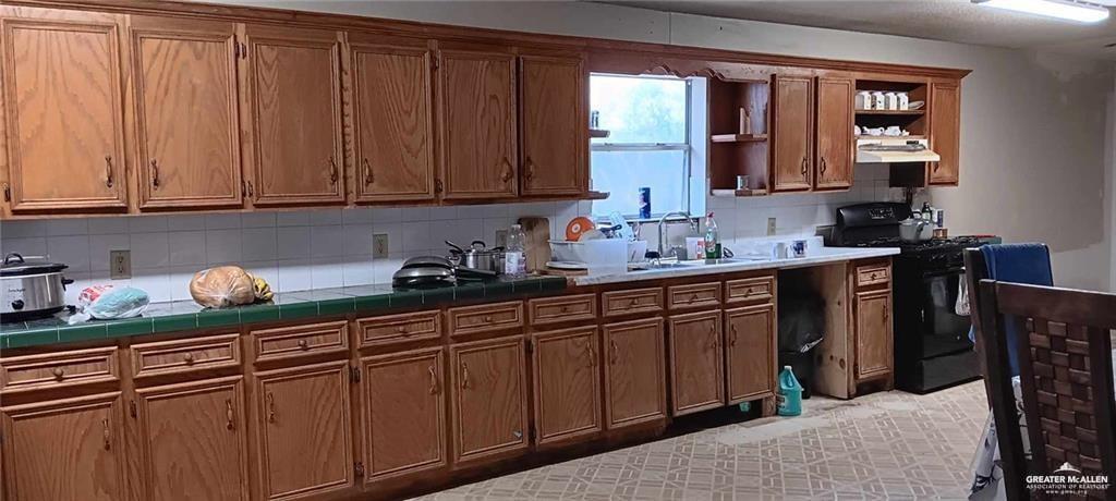 5906 North Brushline Road Mission, TX 78574 - Photo 19 of 29 a kitchen with stainless steel appliances granite countertop a sink dishwasher cabinets and granite countertops with wooden floor