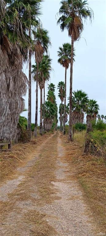 5906 North Brushline Road Mission, TX 78574 - Photo 28 of 29 a view of a yard with palm trees