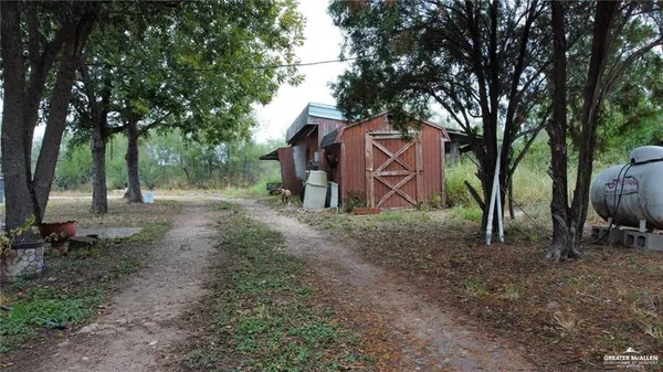 a view of a yard with plants