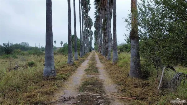 a backyard of a house