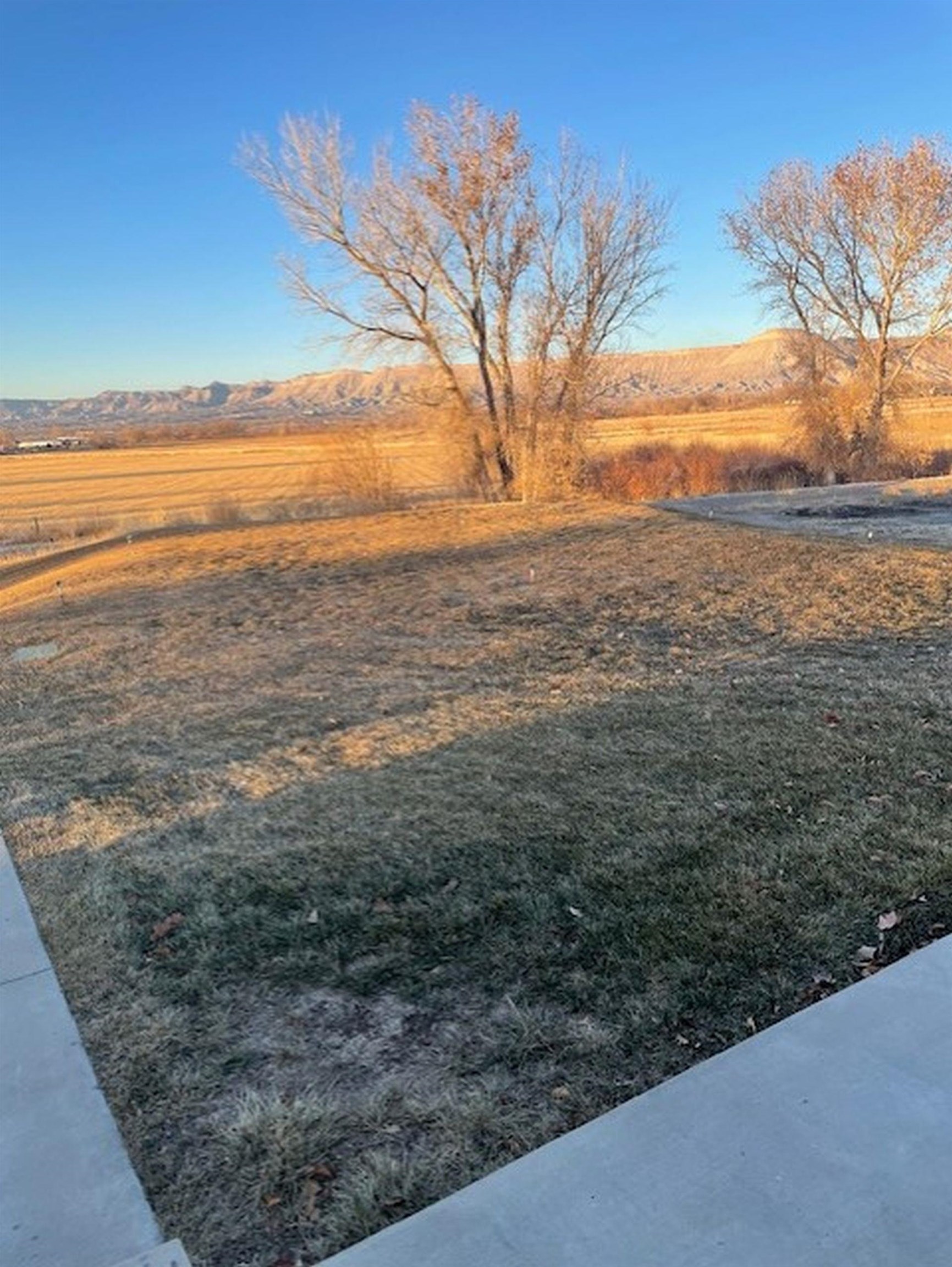 3210 B B 1/2 Road Grand Junction, CO 81503 - Photo 6 of 28 Gallery Image 6