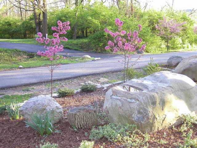 4390 Forest Hill Road Powell, OH 43065 - Photo 4 of 4