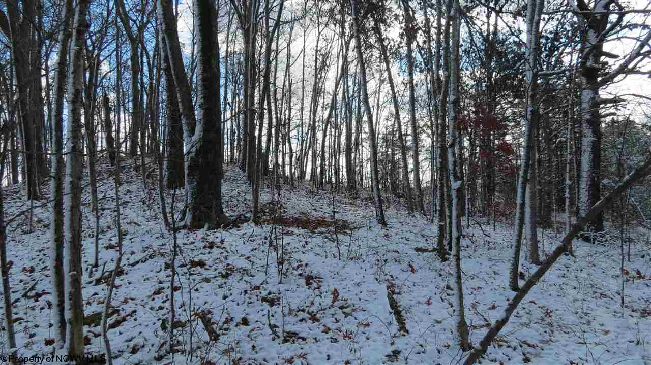 19-7 Paxton Ridge Walton, WV 25286 - Photo 7 of 16 Gallery Image 7