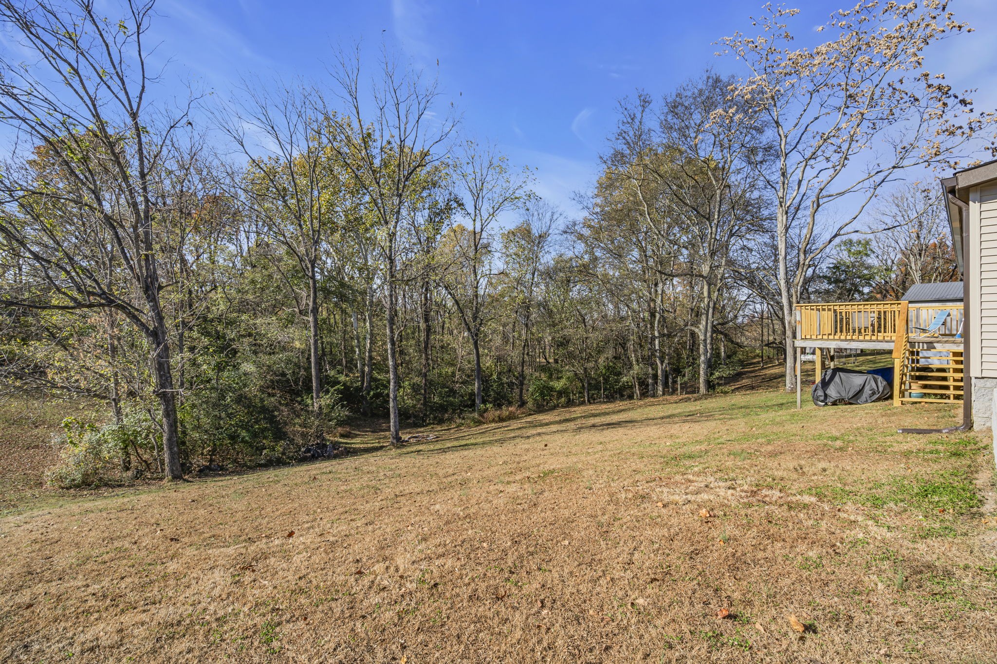 1039 Riverview Road Mount Juliet, TN 37122 - Photo 30 of 40 a view of a yard with a house