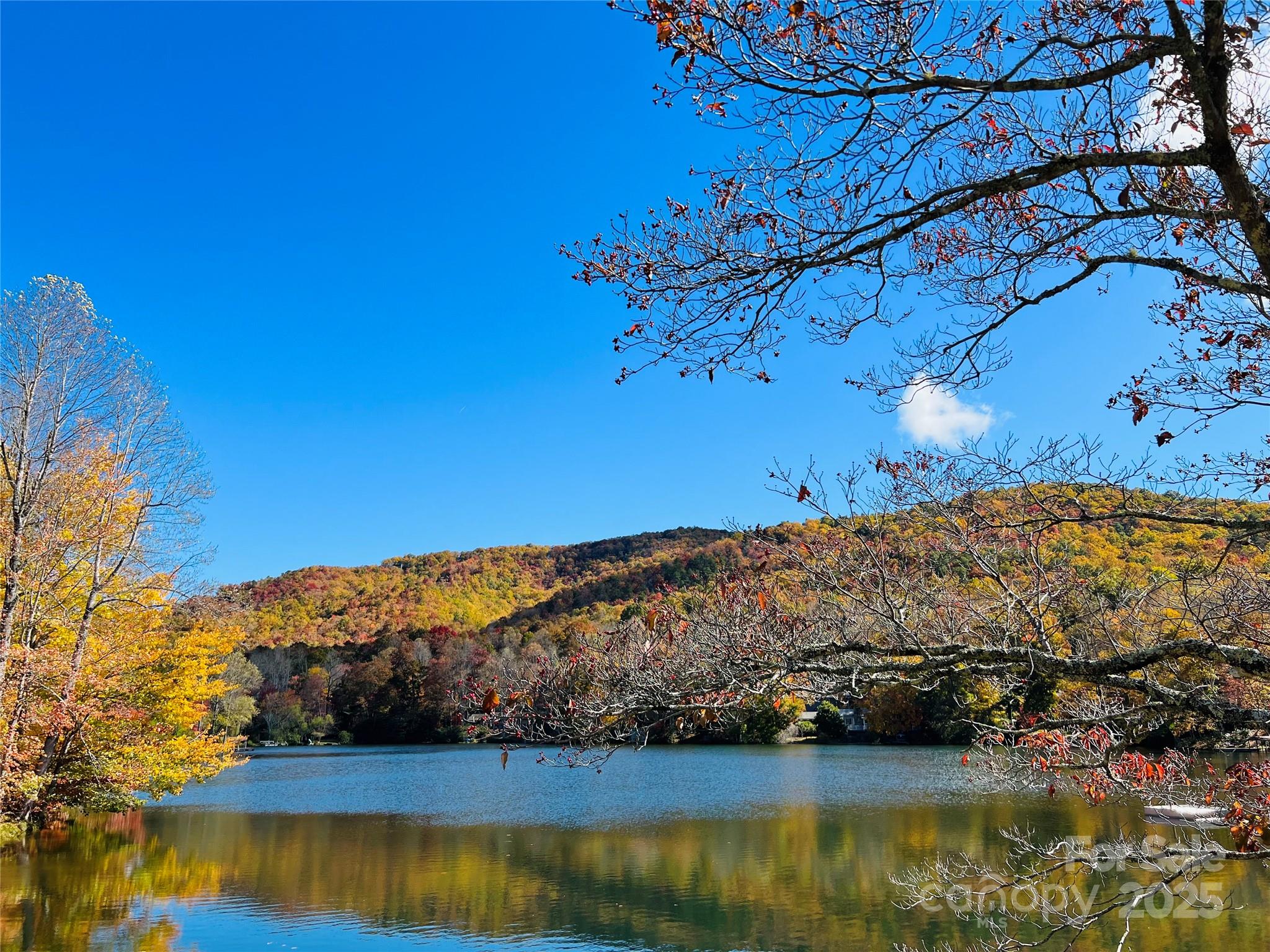 99999 Old Fort Road Fairview, NC 28730 - Photo 1 of 5 Gallery Image 1