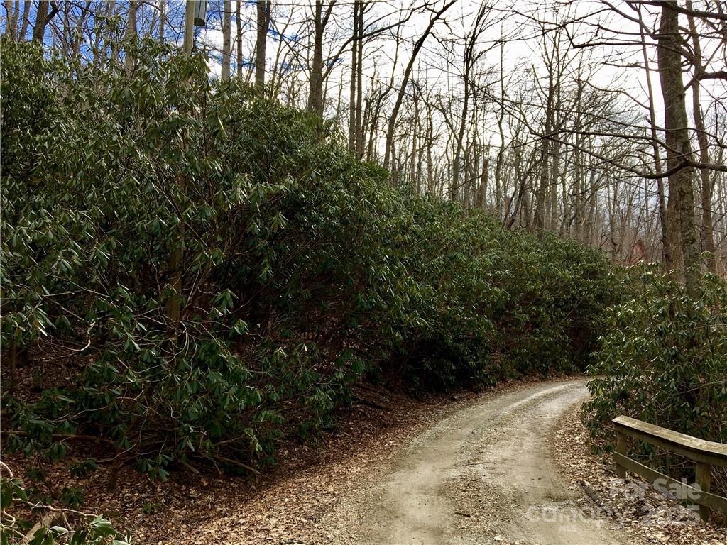99999 Old Fort Road Fairview, NC 28730 - Photo 3 of 5 Gallery Image 3