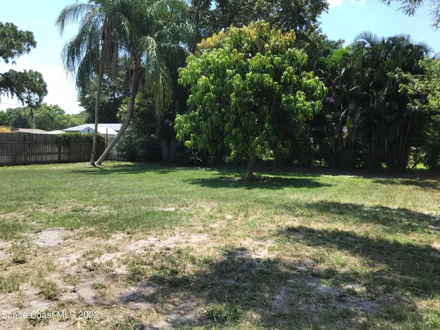 a view of a field with a tree