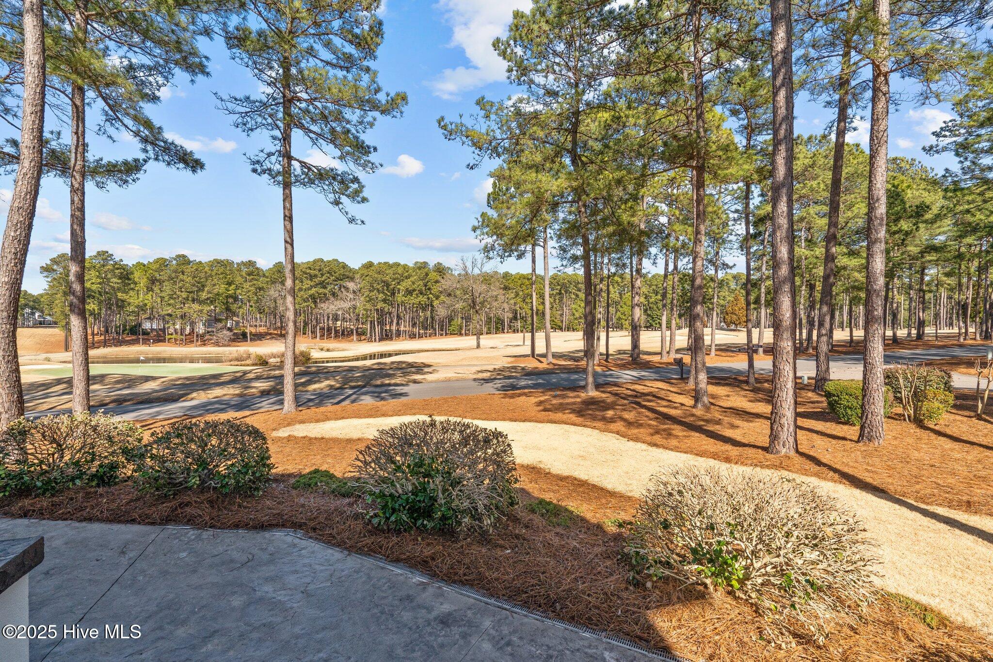 25 Barons Drive Pinehurst, NC 28374 - Photo 38 of 98 14-web-or-mls-DSC02419