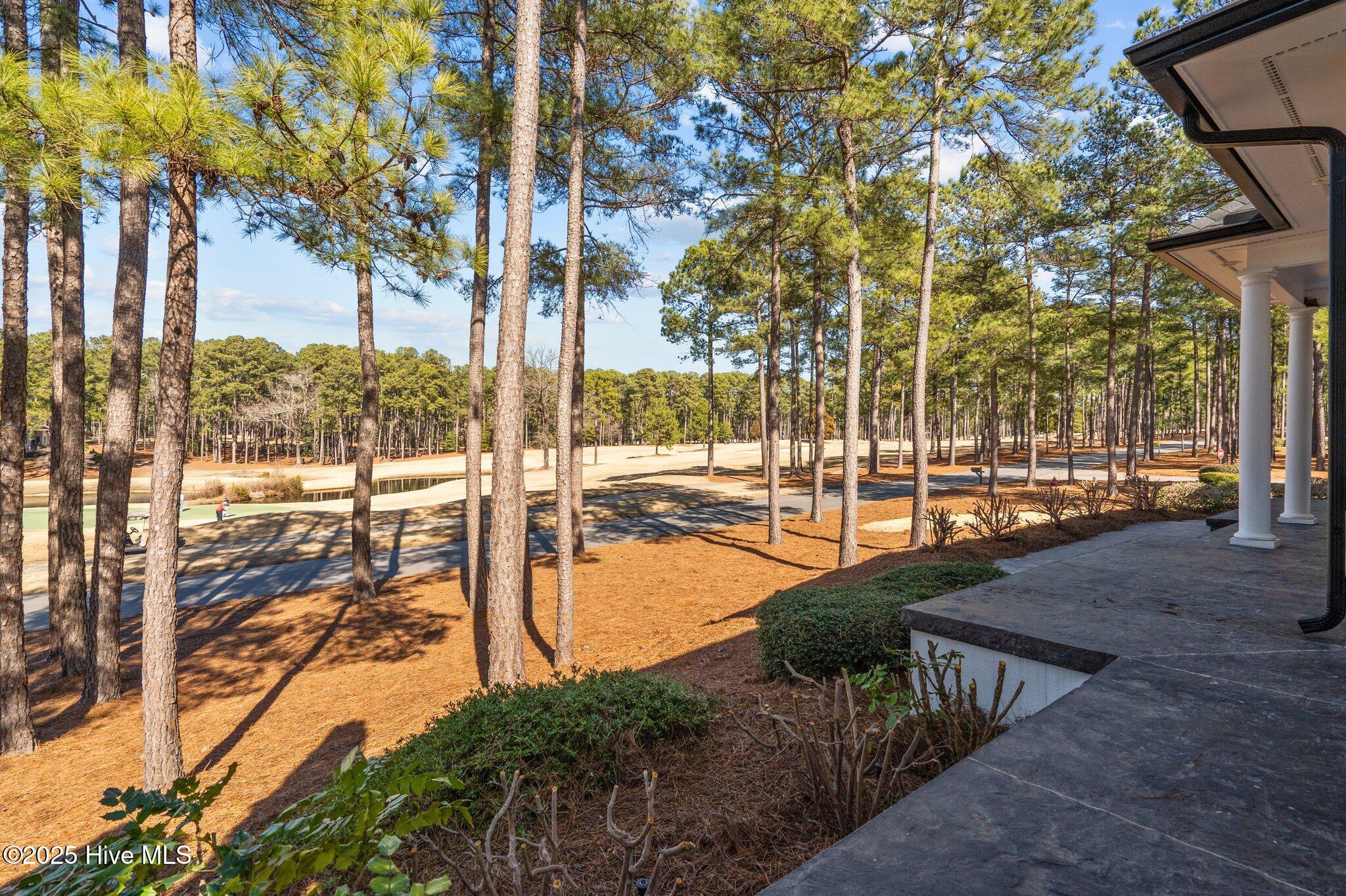 25 Barons Drive Pinehurst, NC 28374 - Photo 40 of 98 16-web-or-mls-DSC02427