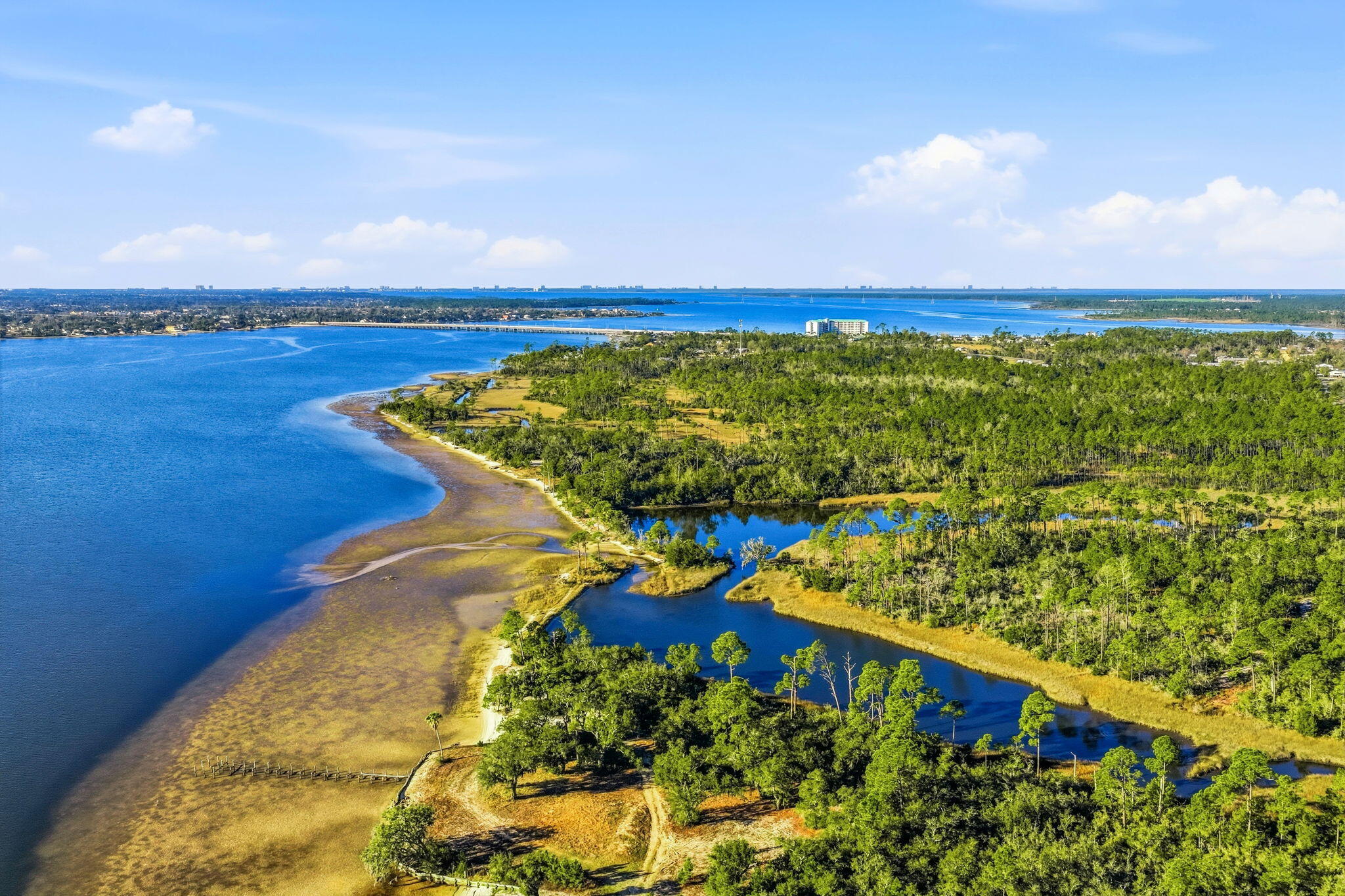 Xx Daffin Lake Road Panama City, FL 32409 - Photo 6 of 21 6-web-or-mls-Daffin Lake Rd -06