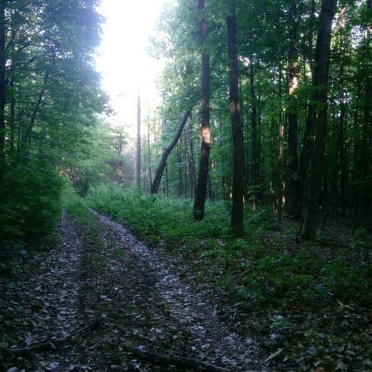 123 Batchelder Road Garland, ME 04939 - Photo 5 of 31 Photo