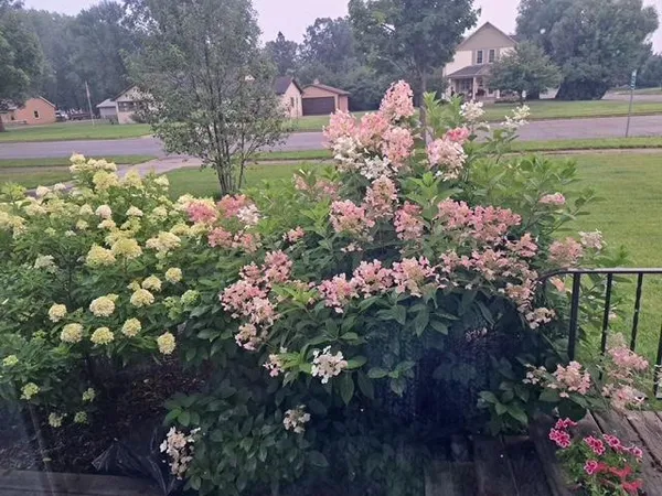 $209,900 | 524 Irving Avenue Southwest, Wadena, MN 56482