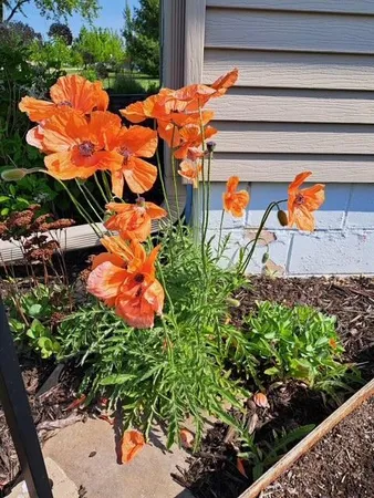 $209,900 | 524 Irving Avenue Southwest, Wadena, MN 56482