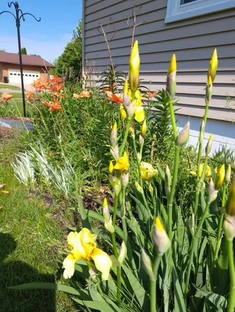 $209,900 | 524 Irving Avenue Southwest, Wadena, MN 56482